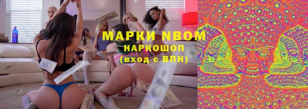 шишки Баксан