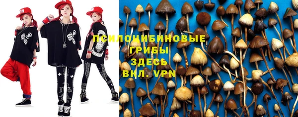 шишки Баксан
